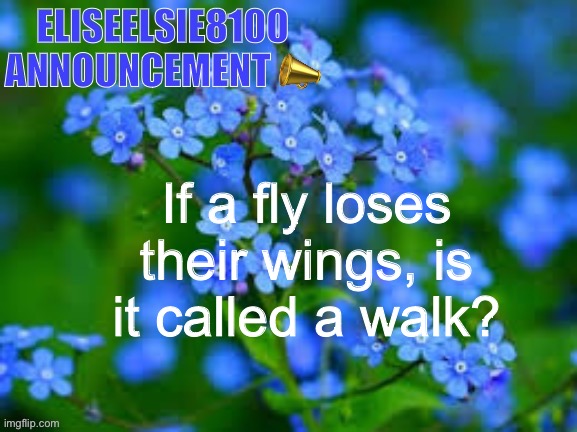 EliseElsie8100 Announcement | If a fly loses their wings, is it called a walk? | image tagged in eliseelsie8100 announcement | made w/ Imgflip meme maker