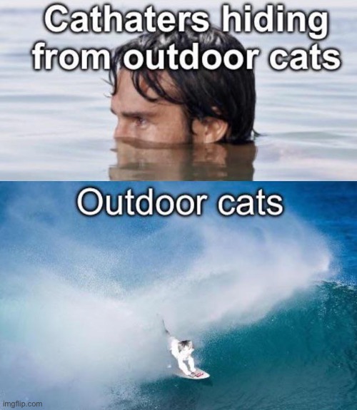 image tagged in memes,funny | made w/ Imgflip meme maker