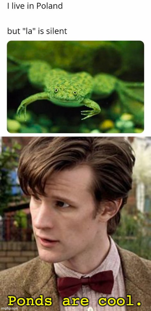 Ponds are cool | Ponds are cool. | image tagged in 11th doctor,pond,frog,pun,doctor who | made w/ Imgflip meme maker