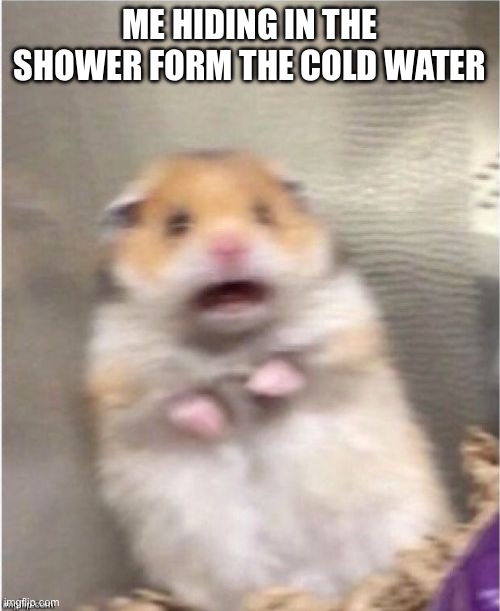 Scared Hamster | ME HIDING IN THE SHOWER FORM THE COLD WATER | image tagged in scared hamster | made w/ Imgflip meme maker