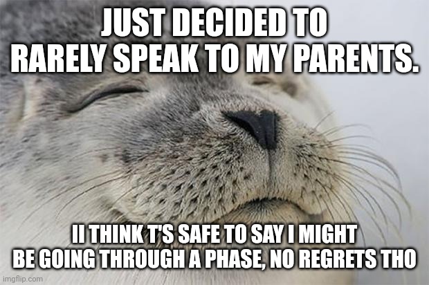 I have no regrets | JUST DECIDED TO RARELY SPEAK TO MY PARENTS. II THINK T'S SAFE TO SAY I MIGHT BE GOING THROUGH A PHASE, NO REGRETS THO | image tagged in memes,satisfied seal | made w/ Imgflip meme maker
