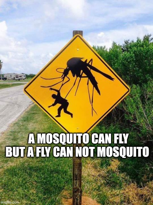 Yessir | A MOSQUITO CAN FLY BUT A FLY CAN NOT MOSQUITO | image tagged in mosquito | made w/ Imgflip meme maker
