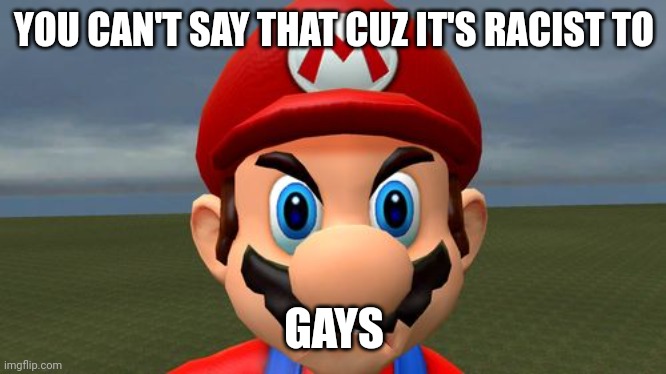 Angry Mario | YOU CAN'T SAY THAT CUZ IT'S RACIST TO GAYS | image tagged in angry mario | made w/ Imgflip meme maker