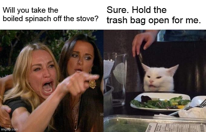 Same here. | Will you take the boiled spinach off the stove? Sure. Hold the trash bag open for me. | image tagged in memes,woman yelling at cat,funny | made w/ Imgflip meme maker
