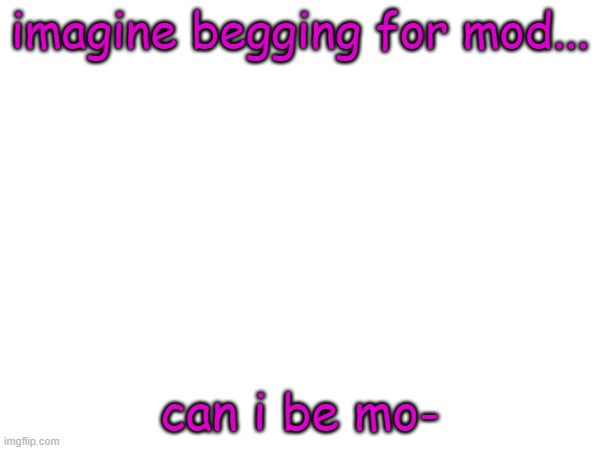 No | imagine begging for mod... can i be mo- | image tagged in funy,mems | made w/ Imgflip meme maker