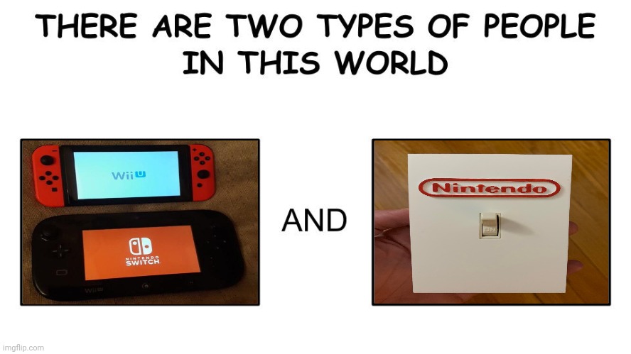 The Nintendo Switching and Nintendo Switch | image tagged in there are two types of people in this world,nintendo,switch,nintendo switch,gaming,memes | made w/ Imgflip meme maker