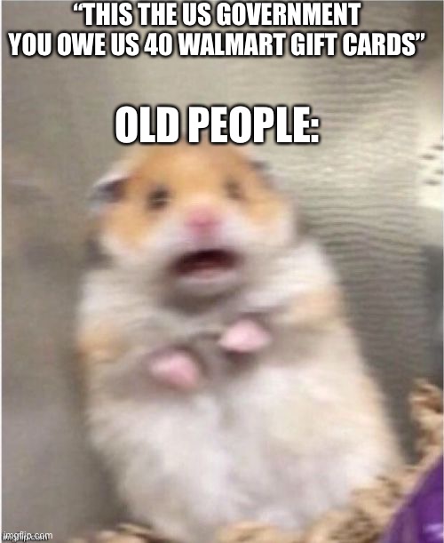 Scared Hamster | “THIS THE US GOVERNMENT YOU OWE US 40 WALMART GIFT CARDS”; OLD PEOPLE: | image tagged in scared hamster | made w/ Imgflip meme maker