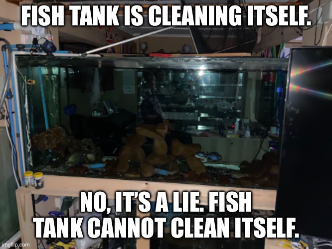 Memeing on the lies | FISH TANK IS CLEANING ITSELF. NO, IT’S A LIE. FISH TANK CANNOT CLEAN ITSELF. | image tagged in memes | made w/ Imgflip meme maker