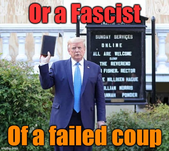 Trump the fascist! | Or a Fascist Of a failed coup | image tagged in trump the fascist | made w/ Imgflip meme maker