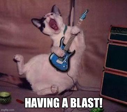 Guitar Cat | HAVING A BLAST! | image tagged in guitar cat | made w/ Imgflip meme maker