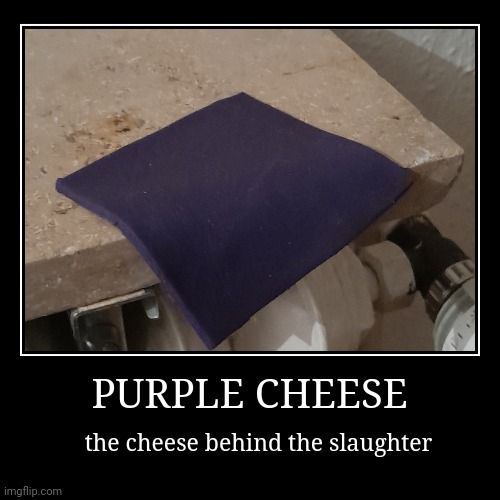 PURPLE CHEESE | image tagged in funny,demotivationals | made w/ Imgflip demotivational maker