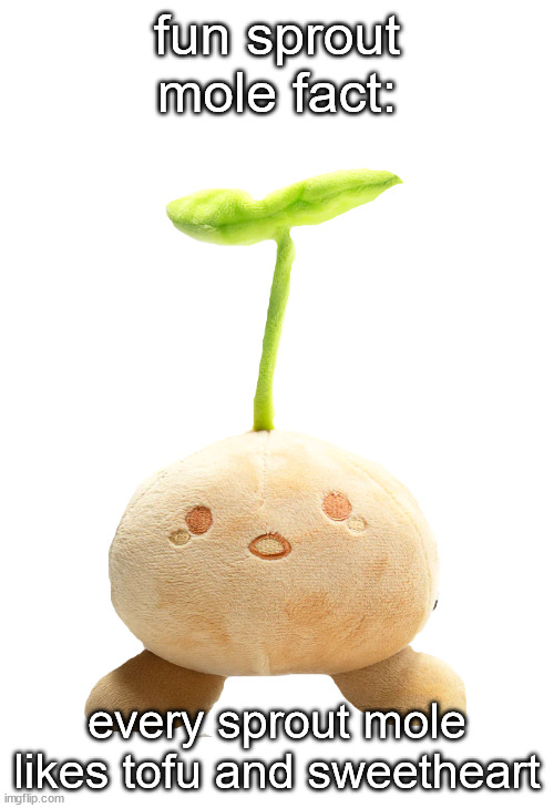 sprout mole plush | fun sprout mole fact:; every sprout mole likes tofu and sweetheart | image tagged in sprout mole plush | made w/ Imgflip meme maker