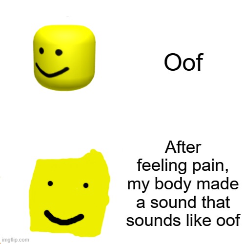 Oof | Oof; After feeling pain, my body made a sound that sounds like oof | image tagged in memes,drake hotline bling | made w/ Imgflip meme maker