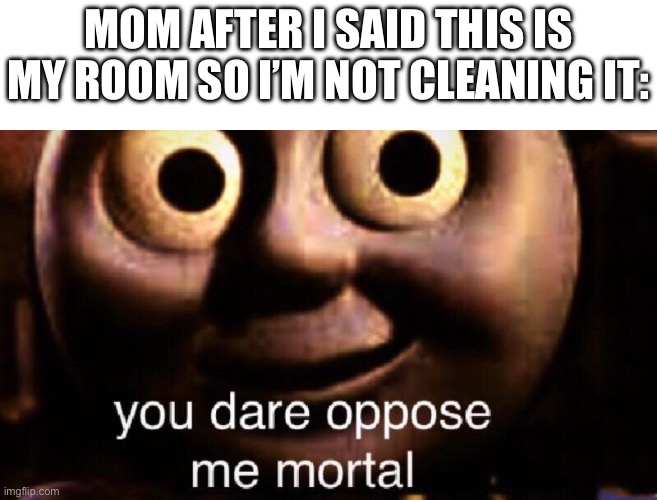You dare oppose me mortal | MOM AFTER I SAID THIS IS MY ROOM SO I’M NOT CLEANING IT: | image tagged in you dare oppose me mortal | made w/ Imgflip meme maker