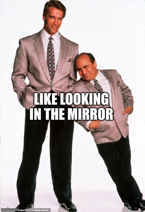 Mirror image | LIKE LOOKING IN THE MIRROR | image tagged in twins movie | made w/ Imgflip meme maker