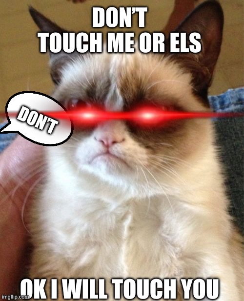 The mad cat | DON’T TOUCH ME OR ELS; DON’T; OK I WILL TOUCH YOU | image tagged in memes,grumpy cat | made w/ Imgflip meme maker