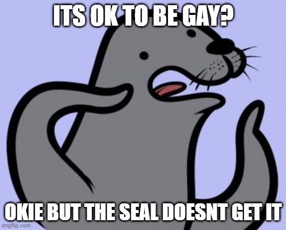 seal? | ITS OK TO BE GAY? OKIE BUT THE SEAL DOESNT GET IT | image tagged in memes,homophobic seal | made w/ Imgflip meme maker