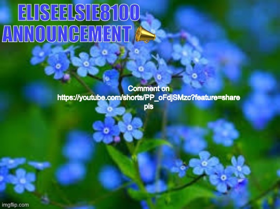 EliseElsie8100 Announcement | Comment on https://youtube.com/shorts/PP_oFdjSMzc?feature=share pls | image tagged in eliseelsie8100 announcement | made w/ Imgflip meme maker