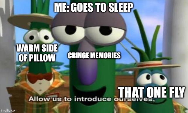 Does Anybody Relate To This? | ME: GOES TO SLEEP; WARM SIDE OF PILLOW; CRINGE MEMORIES; THAT ONE FLY | image tagged in allow us to introduce ourselves | made w/ Imgflip meme maker