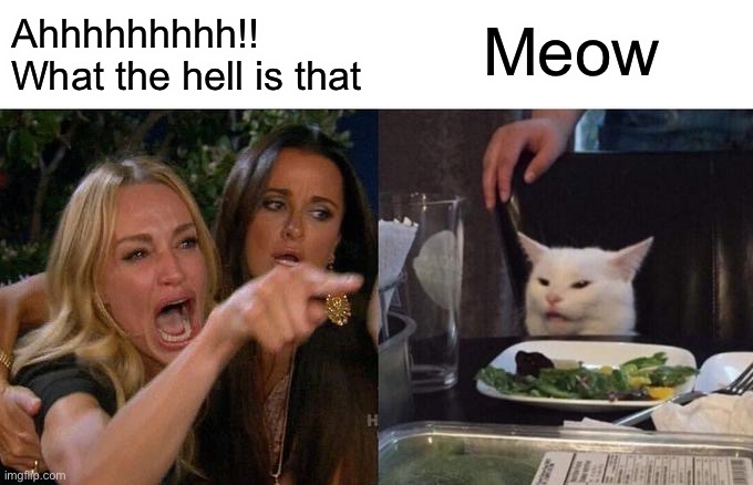 Woman Yelling At Cat | Meow; Ahhhhhhhhh!! What the hell is that | image tagged in memes,woman yelling at cat | made w/ Imgflip meme maker