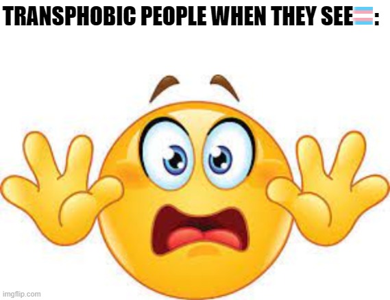 TRANSPHOBIC PEOPLE WHEN THEY SEE     : | image tagged in blank white template | made w/ Imgflip meme maker