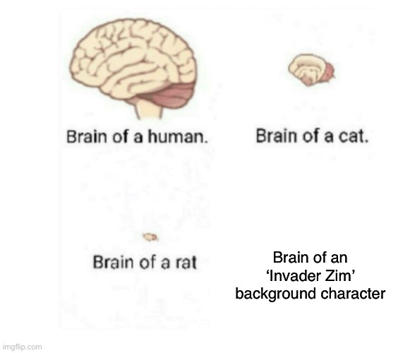 No Brain | Brain of an ‘Invader Zim’ background character | image tagged in brain size comparison,invader zim | made w/ Imgflip meme maker