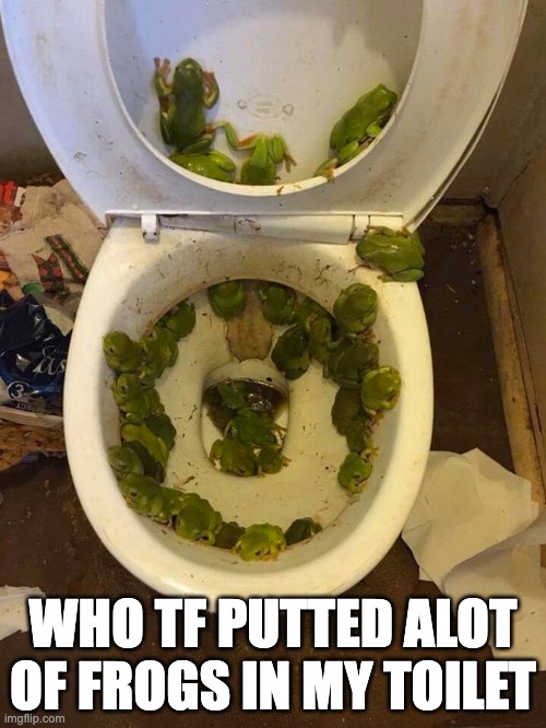 WHO TF PUTTED ALOT OF FROGS IN MY TOILET | image tagged in cursed image | made w/ Imgflip meme maker