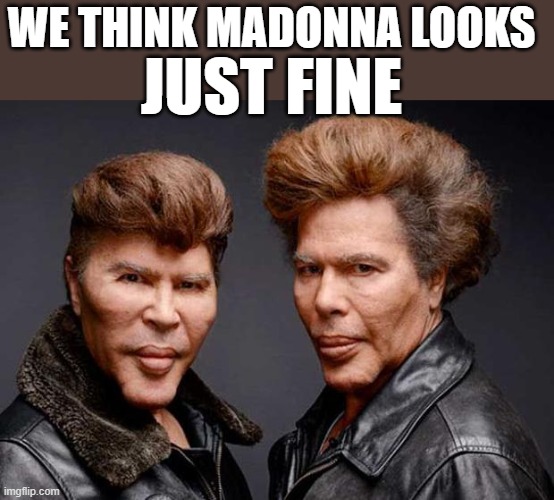 Plastic Surgery | WE THINK MADONNA LOOKS; JUST FINE | image tagged in madonna,bogdanoff twins,plastic surgery | made w/ Imgflip meme maker
