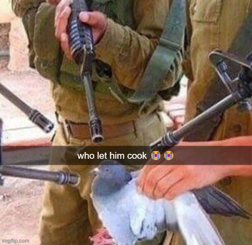 real | who let him cook 😭😭 | image tagged in bruh,lol,why are you reading this | made w/ Imgflip meme maker