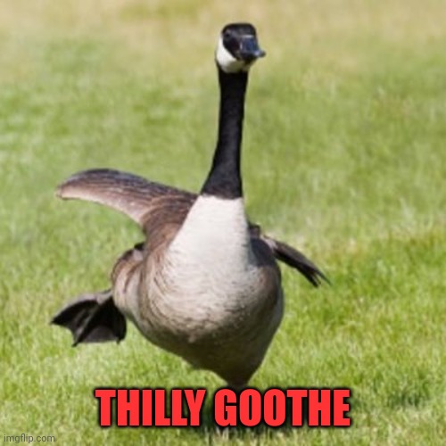 Silly goose | THILLY GOOTHE | image tagged in silly goose | made w/ Imgflip meme maker