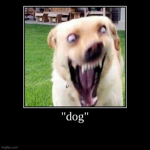 dog | image tagged in funny,demotivationals | made w/ Imgflip demotivational maker