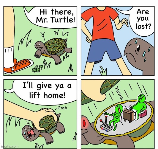 Turtle shell home | image tagged in turtle,turtles,shell,home,comics,comics/cartoons | made w/ Imgflip meme maker