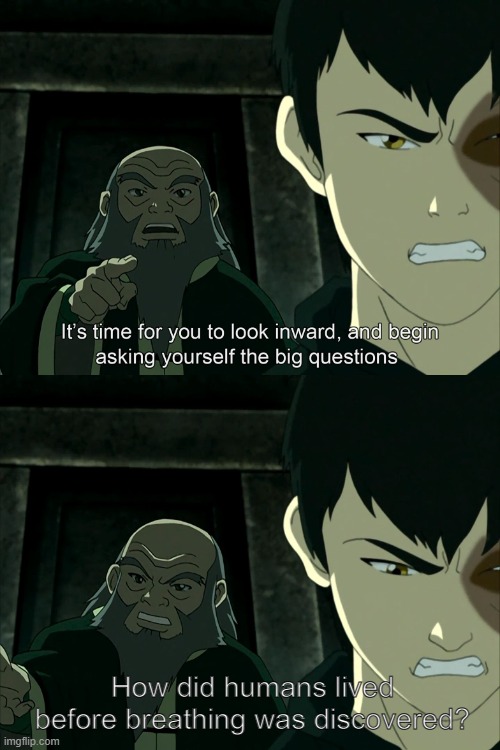 hmm idk, take a guess | How did humans lived before breathing was discovered? | image tagged in it's time to start asking yourself the big questions meme,yeah this is big brain time,avatar the last airbender | made w/ Imgflip meme maker