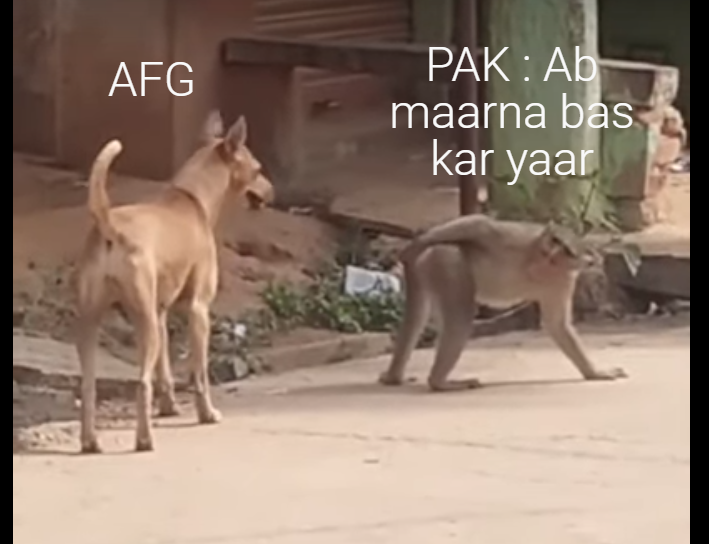 High Quality pak crying after losing T20 series to AFG Blank Meme Template
