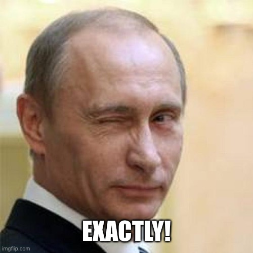 Putin Winking | EXACTLY! | image tagged in putin winking | made w/ Imgflip meme maker