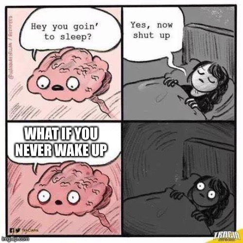 Brainsomnia | WHAT IF YOU NEVER WAKE UP | image tagged in brainsomnia | made w/ Imgflip meme maker