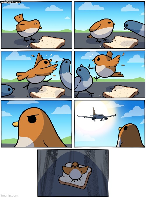 Bird bread plane | image tagged in loading artist,birds,bird,bread,comics,comics/cartoons | made w/ Imgflip meme maker