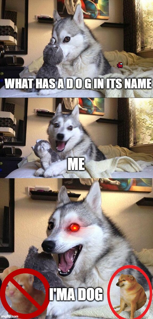 hes  a dog | WHAT HAS A D O G IN ITS NAME; ME; I'MA DOG | image tagged in bad pun dog | made w/ Imgflip meme maker