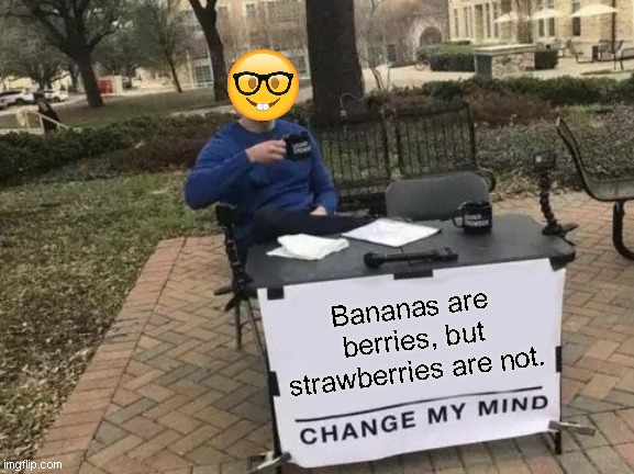 Bruhuhuh | Bananas are berries, but strawberries are not. | image tagged in memes,change my mind,nerds | made w/ Imgflip meme maker