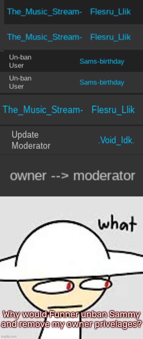 I was wondering why I couldn't edit the music stream's desc- [Don't worry, Zed removed Funner's owner and gave it back to me] | Why would Funner unban Sammy and remove my owner privelages? | image tagged in opposition what,idk,stuff,s o u p,carck | made w/ Imgflip meme maker