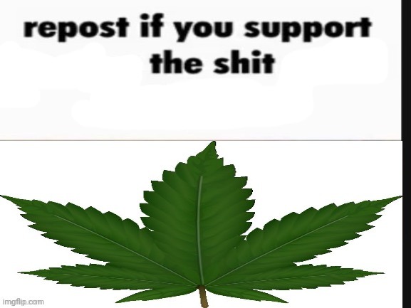 Legalize it | made w/ Imgflip meme maker