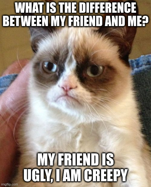 creepy | WHAT IS THE DIFFERENCE BETWEEN MY FRIEND AND ME? MY FRIEND IS UGLY, I AM CREEPY | image tagged in memes,grumpy cat | made w/ Imgflip meme maker