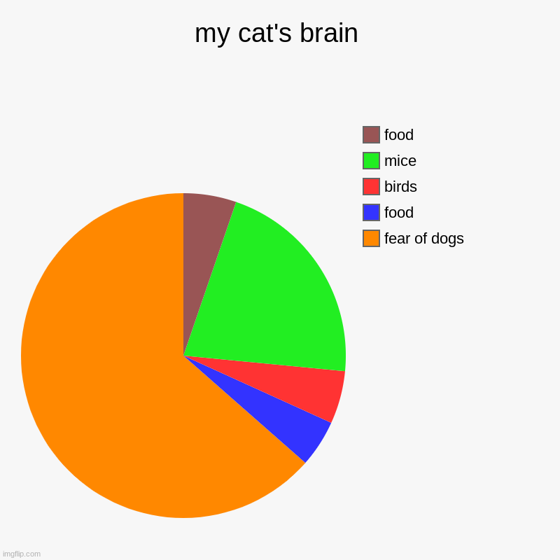 my cat's brain | fear of dogs, food, birds, mice, food | image tagged in charts,pie charts | made w/ Imgflip chart maker
