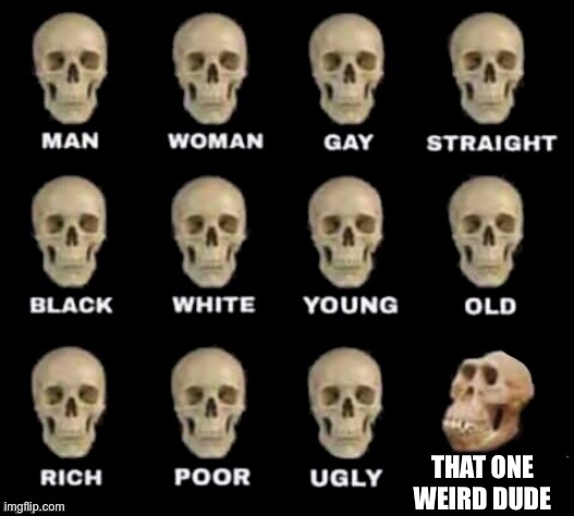 idiot skull | THAT ONE WEIRD DUDE | image tagged in idiot skull | made w/ Imgflip meme maker