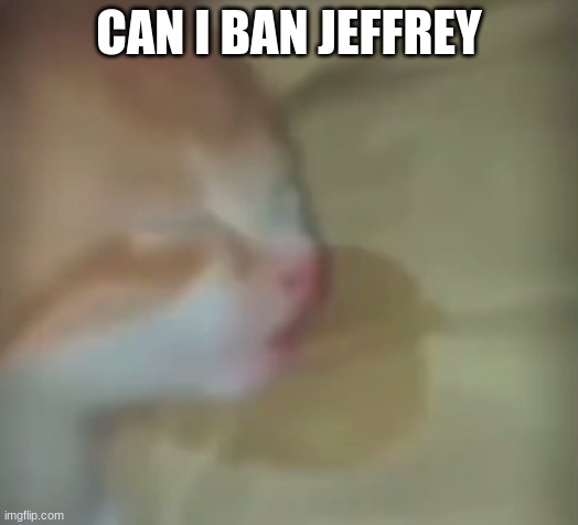 the sleeper | CAN I BAN JEFFREY | image tagged in the sleeper | made w/ Imgflip meme maker