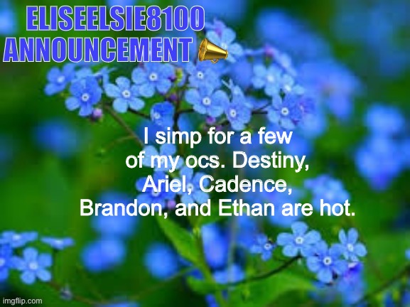 EliseElsie8100 Announcement | I simp for a few of my ocs. Destiny, Ariel, Cadence, Brandon, and Ethan are hot. | image tagged in eliseelsie8100 announcement | made w/ Imgflip meme maker