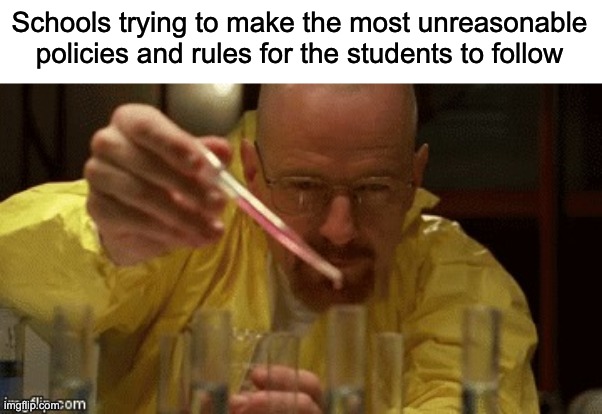 Walter White Cooking | Schools trying to make the most unreasonable policies and rules for the students to follow | image tagged in walter white cooking | made w/ Imgflip meme maker