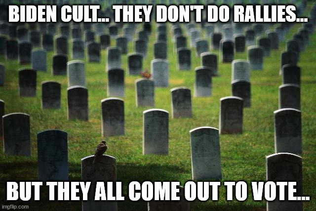 graveyard cemetary | BIDEN CULT... THEY DON'T DO RALLIES... BUT THEY ALL COME OUT TO VOTE... | image tagged in graveyard cemetary | made w/ Imgflip meme maker