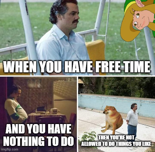 Sad Pablo Escobar | WHEN YOU HAVE FREE TIME; AND YOU HAVE NOTHING TO DO; THEN YOU'RE NOT ALLOWED TO DO THINGS YOU LIKE | image tagged in memes,sad pablo escobar | made w/ Imgflip meme maker