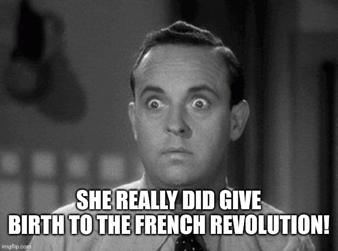 shocked face | SHE REALLY DID GIVE BIRTH TO THE FRENCH REVOLUTION! | image tagged in shocked face | made w/ Imgflip meme maker